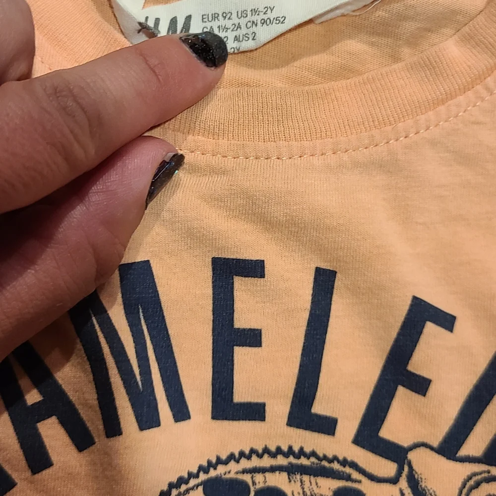 🍁H&M kids chameleon tee🍦
